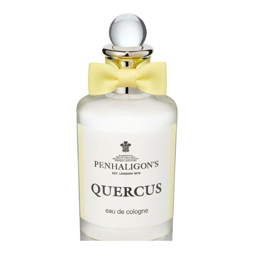 Quercus
